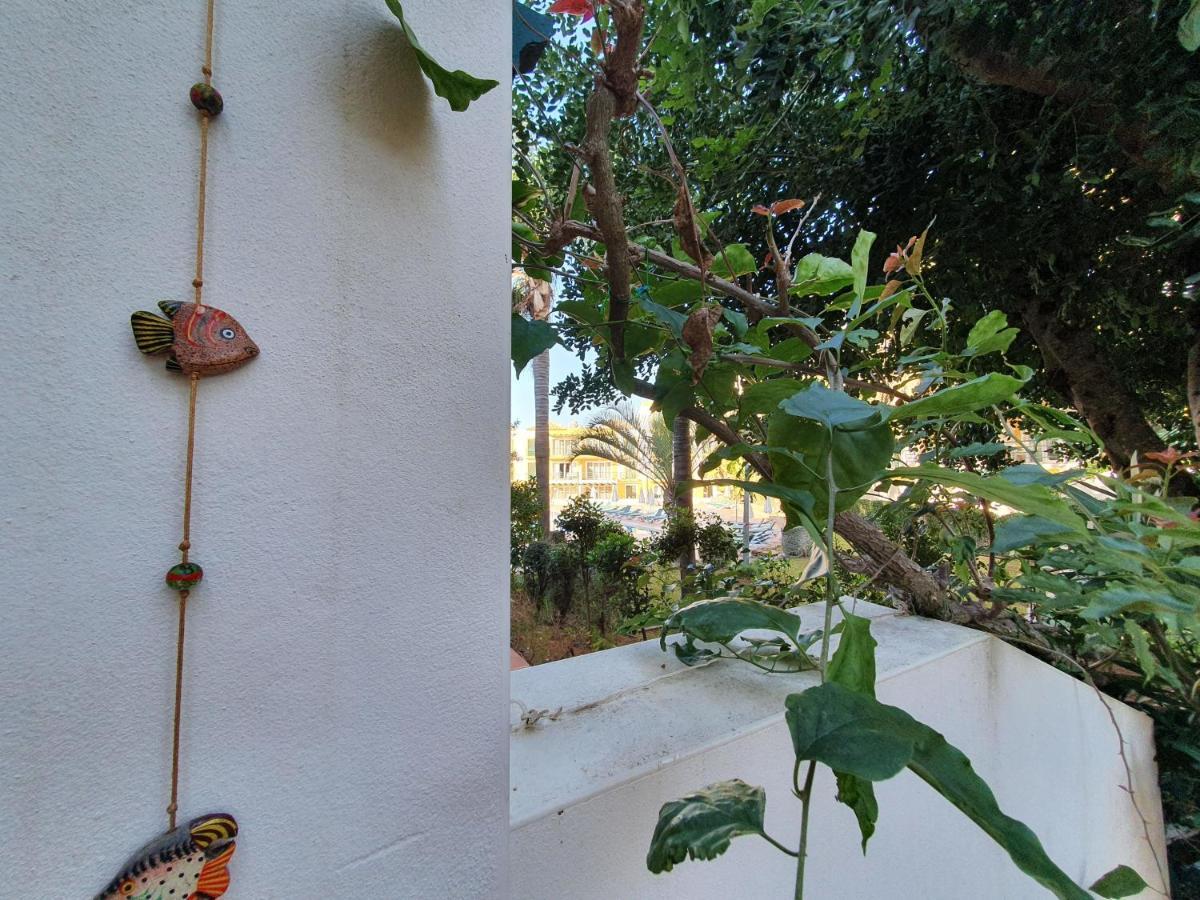 Nice 2 bedroom apartment groundfloor swimming pool Tavira Buitenkant foto